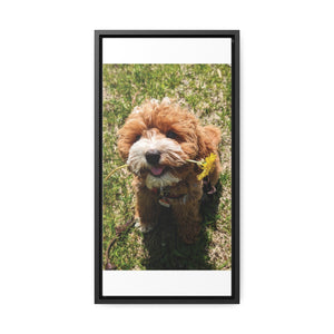 Open image in slideshow, Canvas Wraps, Puppy Framed

