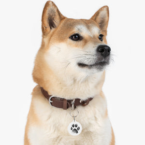Grunge Paw Dog Tag